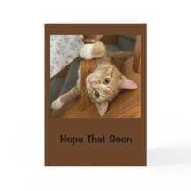 Hoppas att du känner Bra.