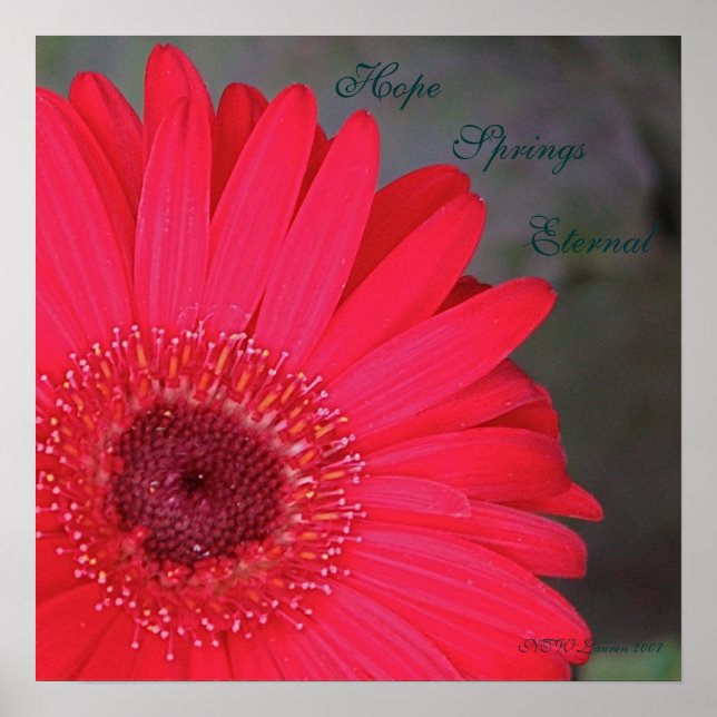 Hoppas att Vår är.. Poster (Framsidan)