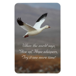 Hoppas att viskare provar det igen magnet