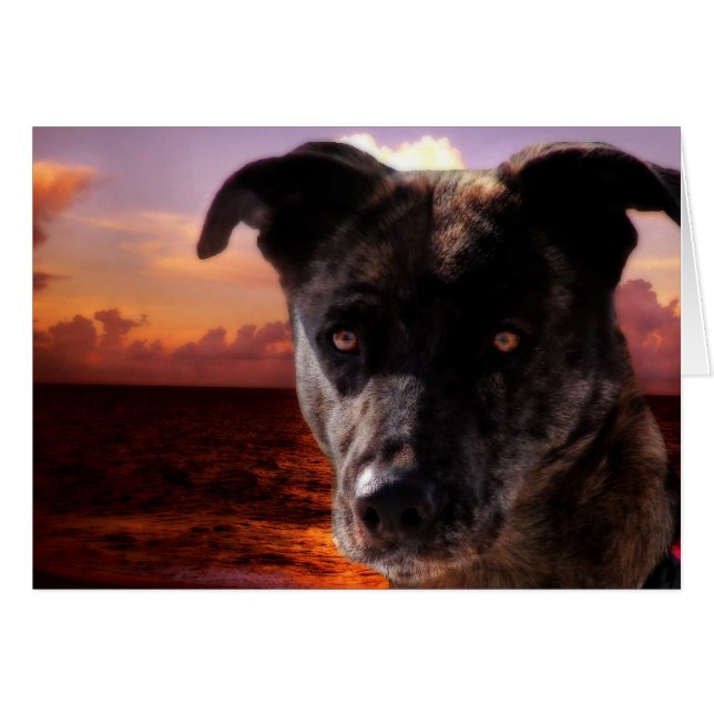 Hoppas besöker oceanen hälsningskort (Framsidan Horizontal)