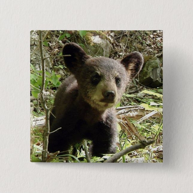 Hoppas björnen knäppas knapp (Framsida)