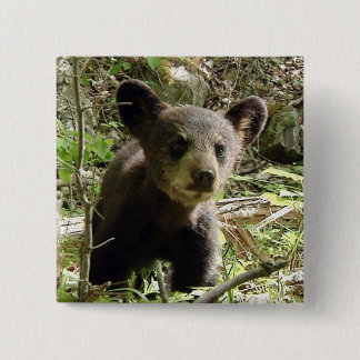 Hoppas björnen knäppas knapp