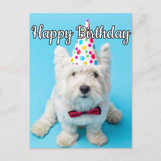 Hoppas Du Har En Glad Födelsedag Vykort (Framsida)