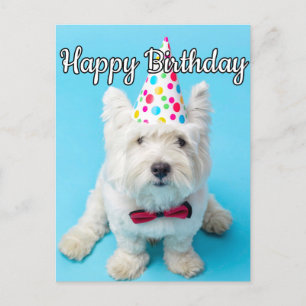 Hoppas du har Grattis på födelsedagen Vykort