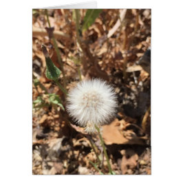 Hoppas Hälsningskort