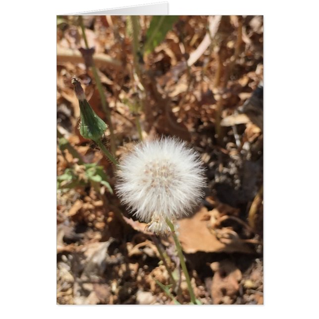 Hoppas Hälsningskort (Framsidan)