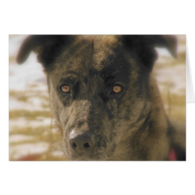 Hoppas Hälsningskort (Framsidan Horizontal)