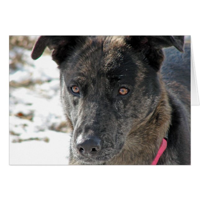 Hoppas Hälsningskort (Framsidan Horizontal)