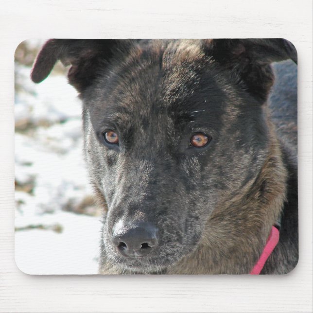 Hoppas Musmatta (Framsidan)