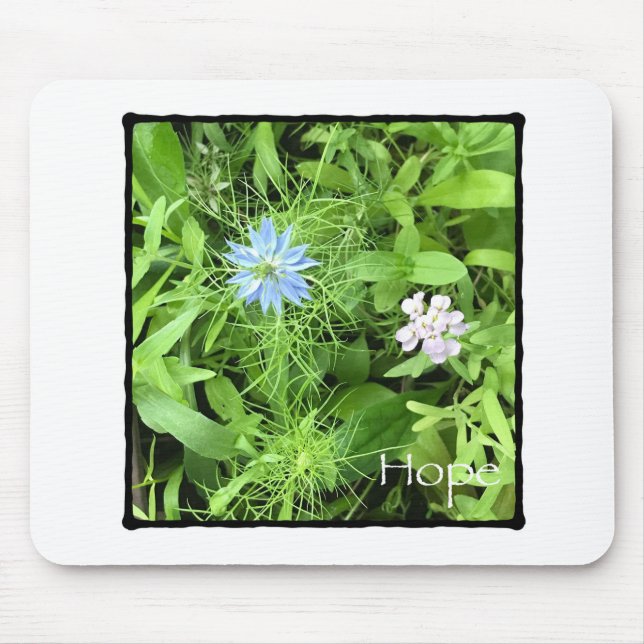 Hoppas Musmatta (Framsidan)