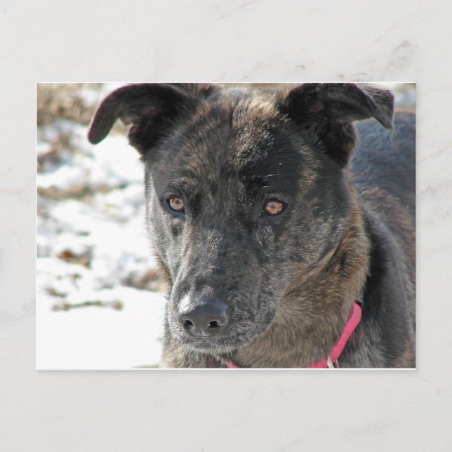 Hoppas Vykort (Framsida)