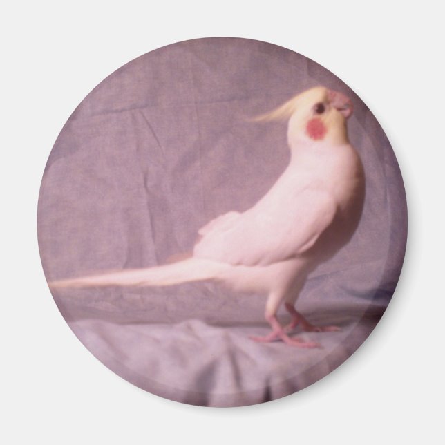 HOPPER magnet (Framsidan)