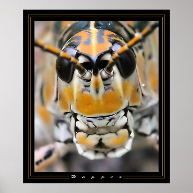 Hopper Poster (Framsidan)