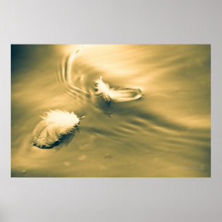 Hoppet är sak med fjädrar poster