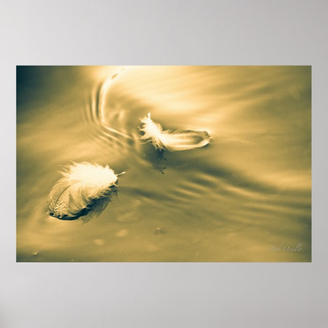 Hoppet är sak med fjädrar poster (Framsidan)