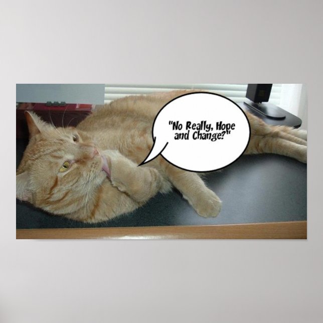 Hoppet och förändringen Orange Tabby katt Poster (Framsidan)