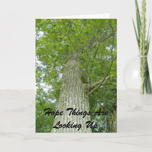 Hoppet om att Sak är Tittar Kort (Framsida)