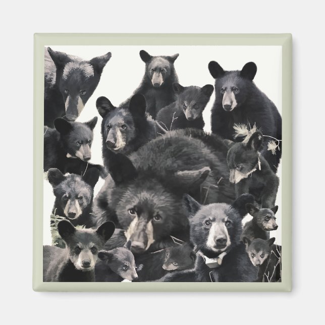 Hoppets liv magnet (Framsidan)