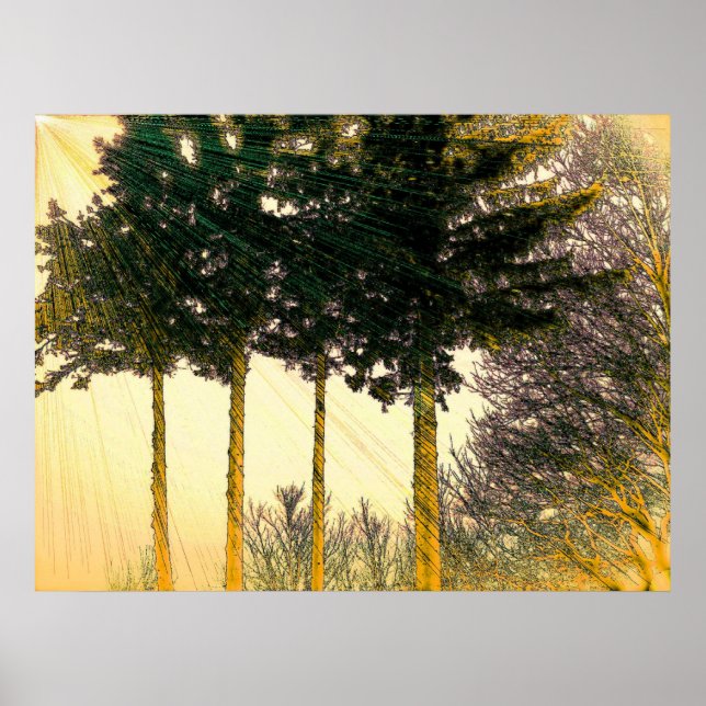 Hoppets rak poster (Framsidan)