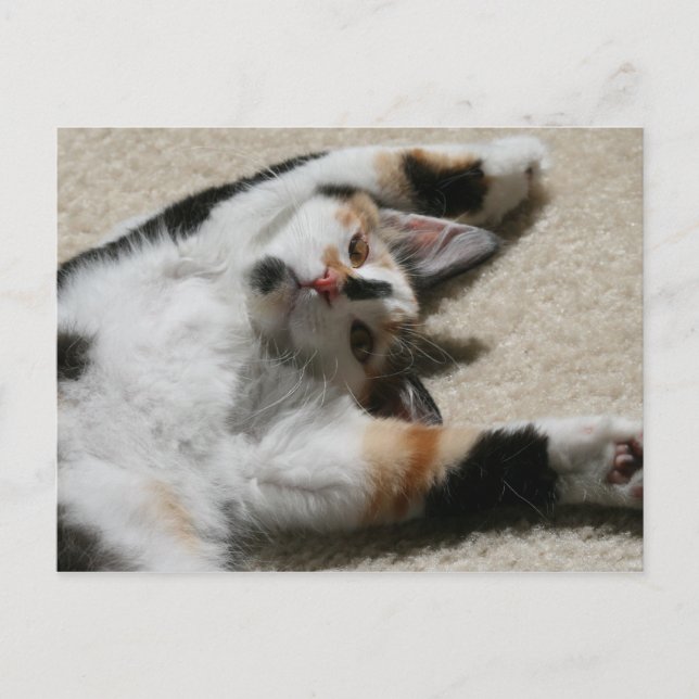 Hoppets vykort (Framsida)