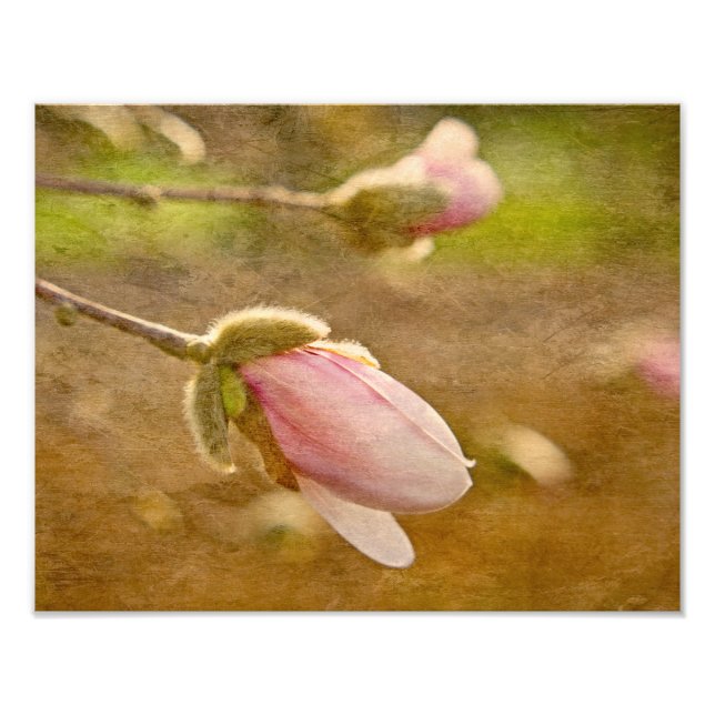 Hoppgåva Fototryck (Framsidan)