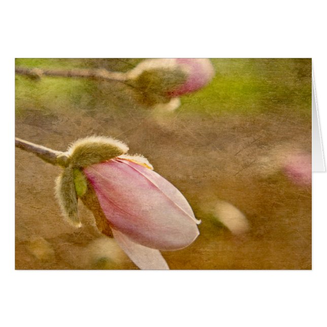 Hoppgåva Hälsningskort (Framsidan Horizontal)