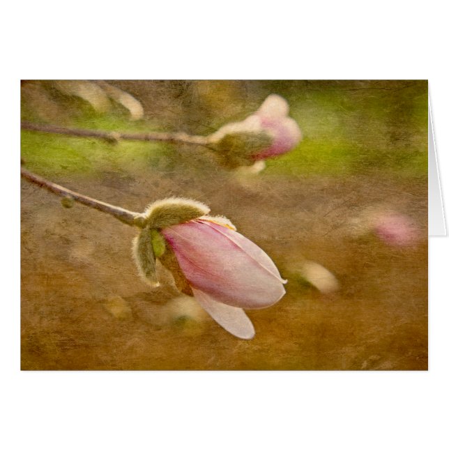 Hoppgåva OBS Kort (Framsidan Horizontal)