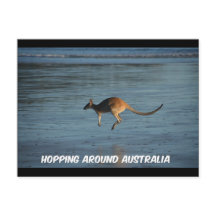Hopping Around Australia Kangaroo Postcard