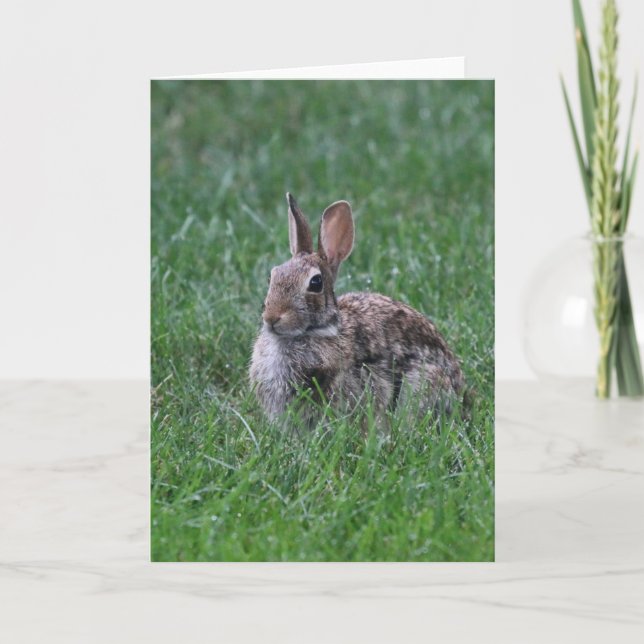 Hopping Kort (Framsida)
