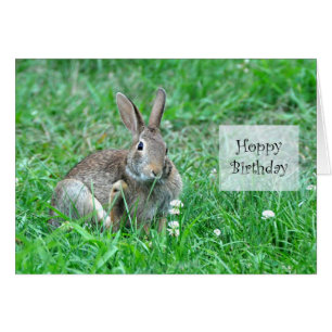 Hoppy Birthday-framtagningskort Hälsningskort