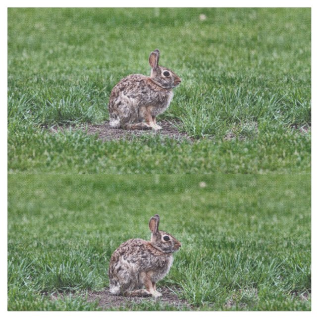 Hoppy Bunny-tyg Tyg (Närbild)