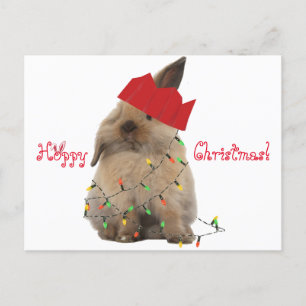 Hoppy julkaninvykort helg vykort
