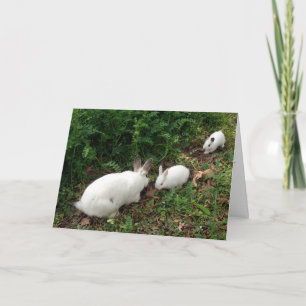 Hoppy mors dag kort