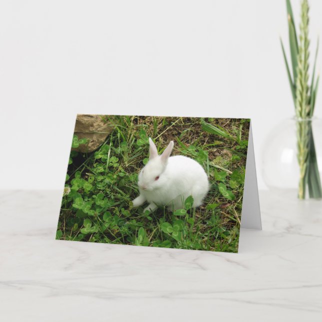 Hoppy påsk helgkort (Framsida)