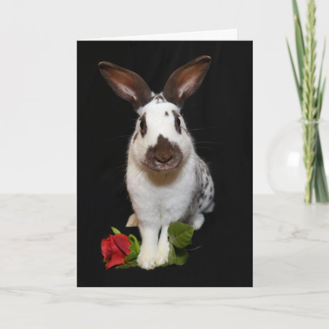 "Hoppy Valentines dag!" Helgdag-kort Helgkort (Framsida)
