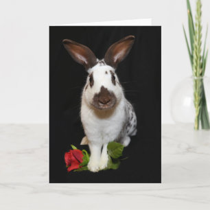 "Hoppy Valentines dag!" Helgdag-kort Helgkort