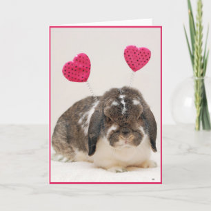 Hoppy Valentines Helgdag Card Helgkort