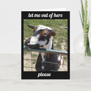 HÖR ATT DU ÄR "UNDER VÄDERN" FÅ ETT BRA KORT