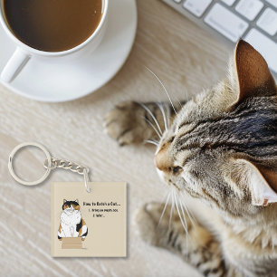 Hor för att fånga en katt