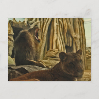 Hör mig ryta! vykort