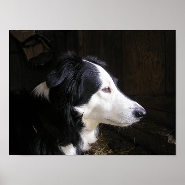 "Hörande" Poster (Framsidan)