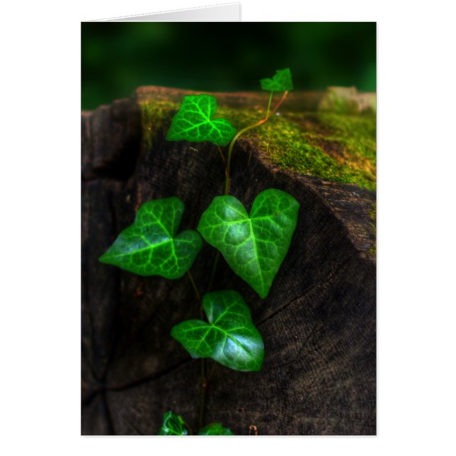 Hörandet av Ivy Hälsningskort (Framsidan)