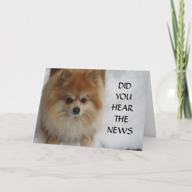 HÖRDE DU NYHETERNA KORT (Framsida)