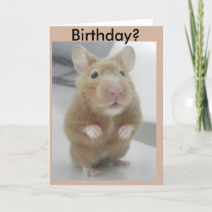 Hörde jag höger? kort