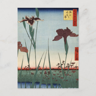 Horikiri Iris Garden (堀 切 の 花 菖 蒲) Vykort