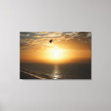 Horisont Ocean Front Sunrise View Bird Silhouette