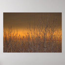 Horisont över Sjö Erie Poster