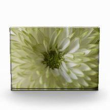 Horisontellt block Fotoblock