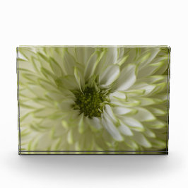 Horisontellt block Fotoblock