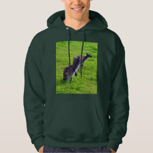 Horisonter utan gränser: Grått Kangaroos på Grassy Hoodie
